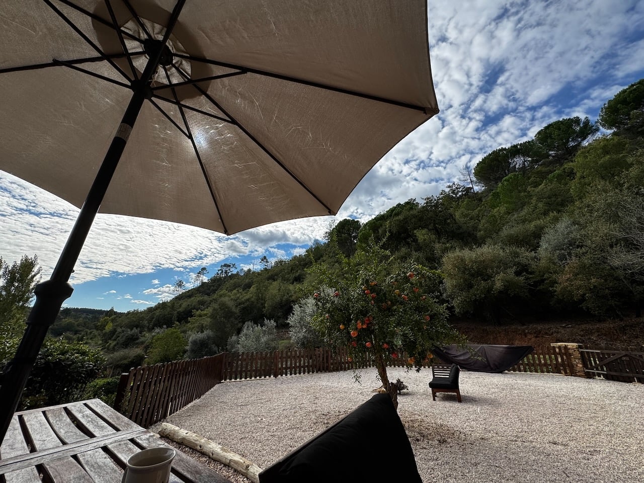 View from under a patio umbrella overlooking a gravel yard with an orange tree and surrounding greenery.