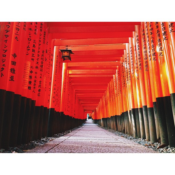 Inari #19daysinjapan