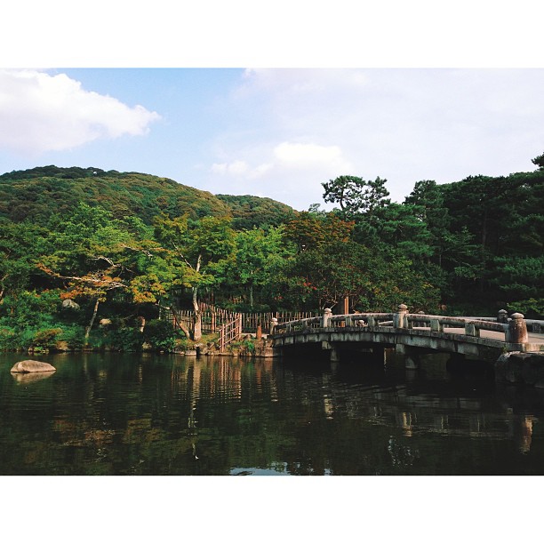 Maruyama park #19daysinjapan