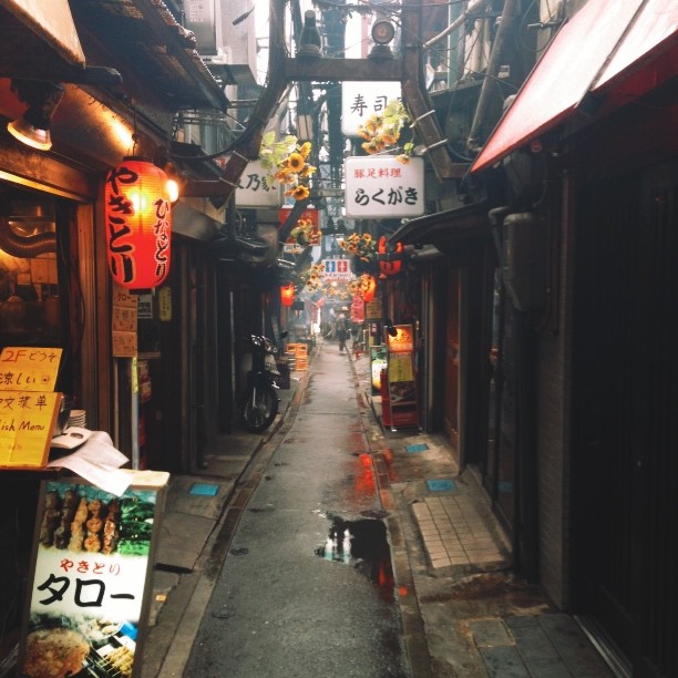 Piss alley #19daysinjapan